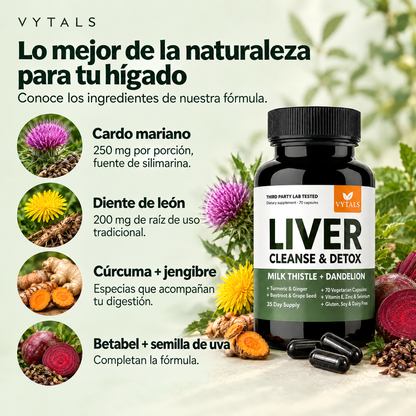 Ingredientes VYTALS Liver: cardo mariano, diente de león, cúrcuma, betabel