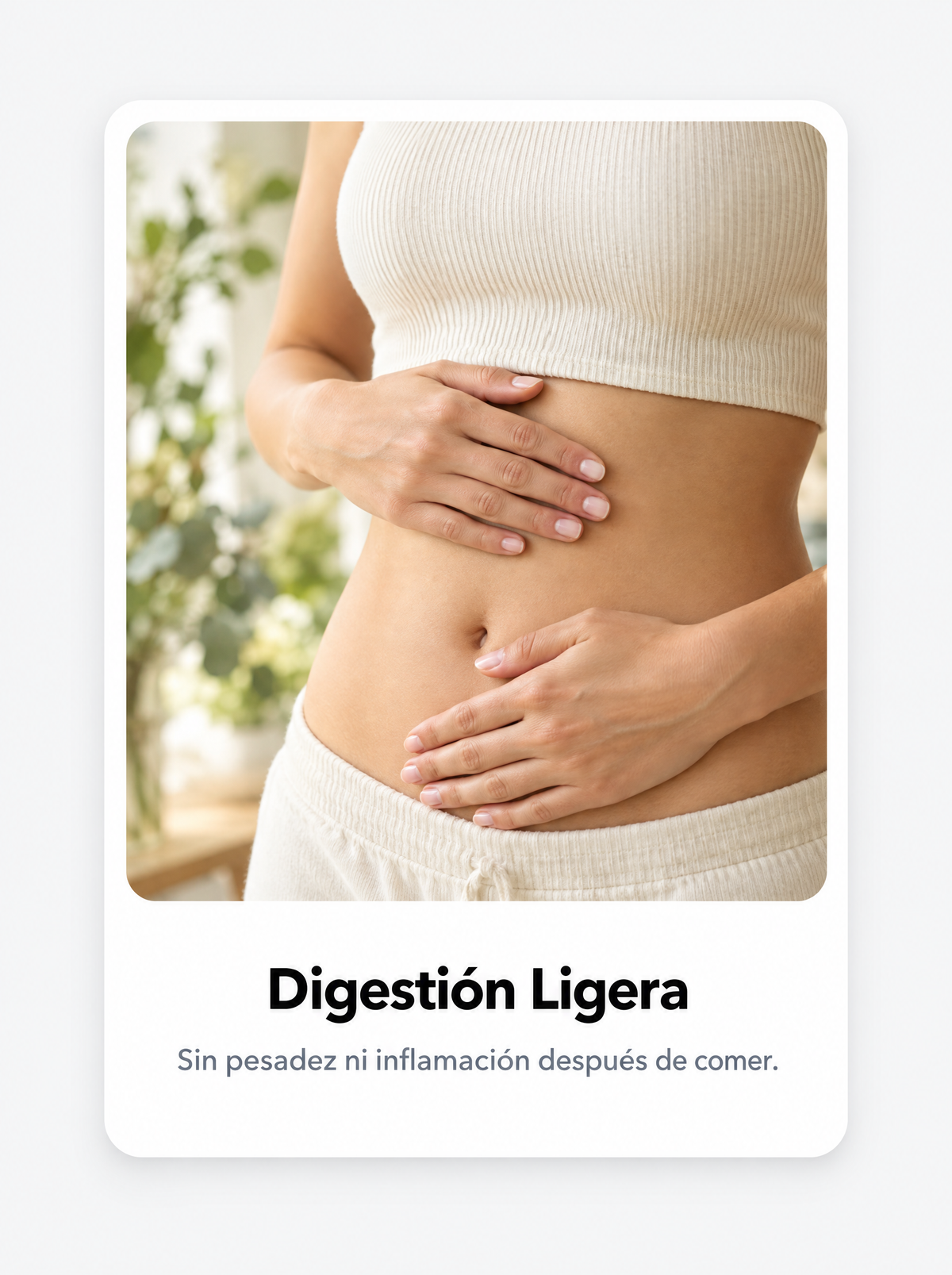 Digestion ligera